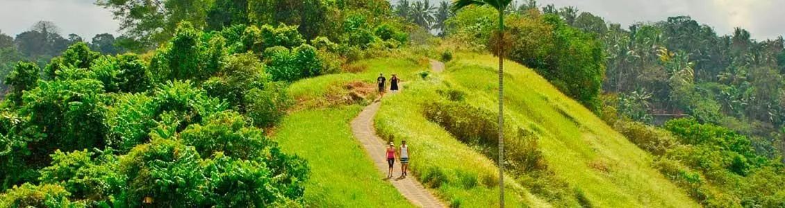 Excursión por Ubud