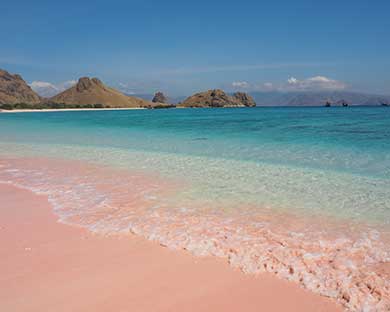 pink beach en komodo